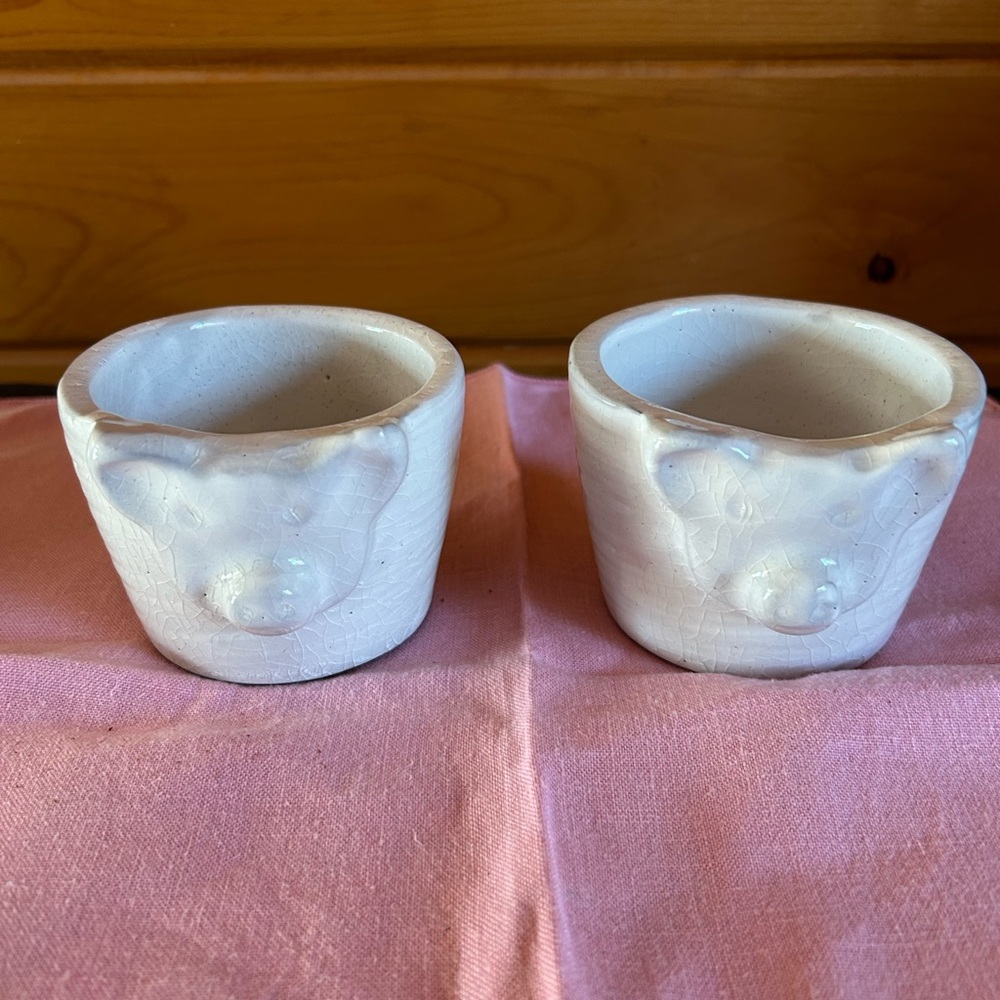 Terra-Cotta Pig 🐷 Bowl